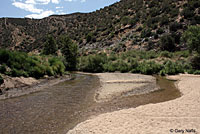 california toad habitat