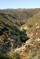 arroyo toad habitat