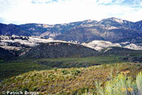 arroyo toad habitat