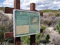 arroyo toad habitat sign