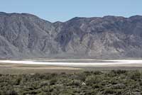 Great Basin Spadefoot Habitat