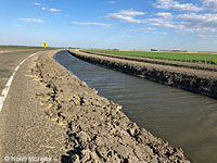 Southern Leopard Frog Habitat