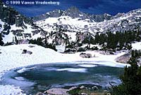 Sierra Nevada Yellow-legged Frog Habitat