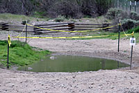 Western Spadefoot Habitat