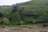 Western Spadefoot Habitat