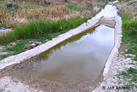 Western Spadefoot Habitat