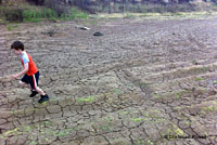 Western Spadefoot Habitat