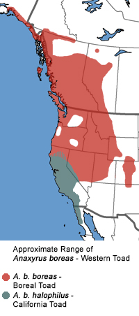 Full Species Range Map