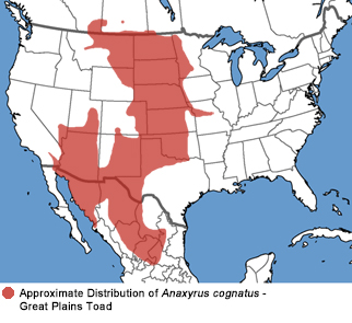 range map