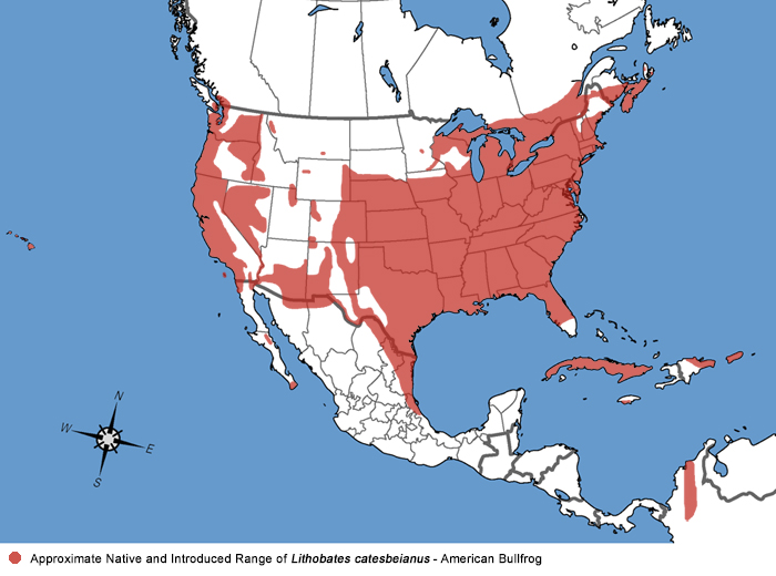 Full Species Range Map