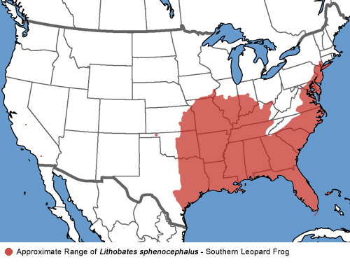 Full Species Range Map