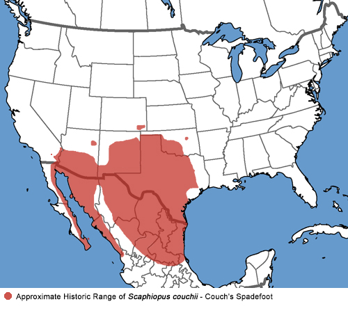 Full Species Range Map