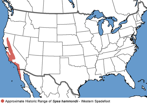 Full Species Range Map