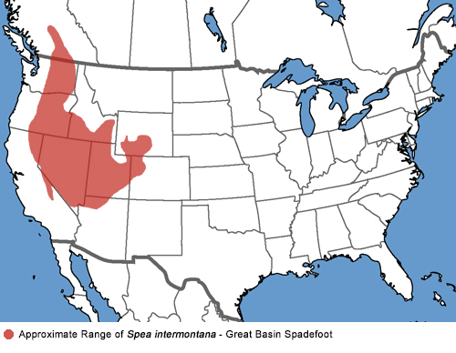 Full Species Range Map