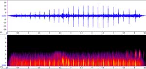 sonogram