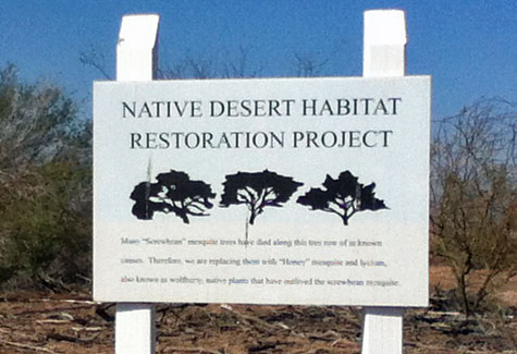 desert restoration