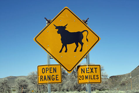 open range