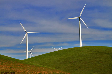 windmills