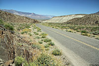 sidewinder habitat