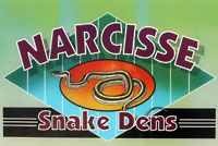 narcisse dens sign