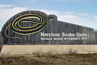 narcisse dens sign