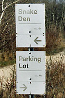 narcisse dens sign