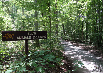 animals crossing sign