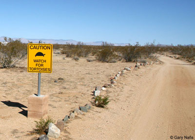 watch for tortoises sign