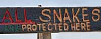 snake sign