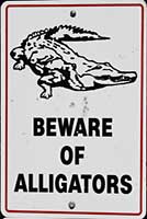 gator sign