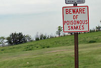 snake sign