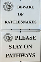 snake sign