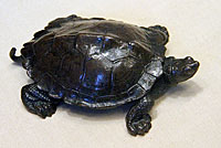 bronze tortoise