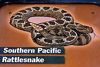 Rattlesnake Sign