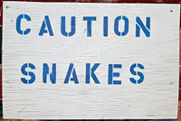 snake sign