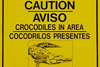 gator sign