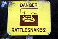 Rattlesnake Sign