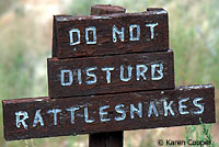 Rattlesnake Sign