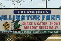 gator sign