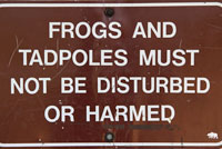 frog sign