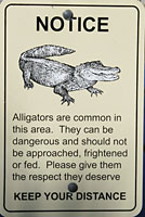 gator sign