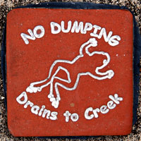 no dumping