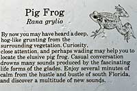 frog sign