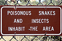 snake sign