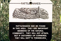 Rattlesnake Sign