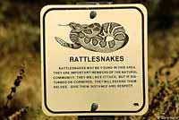 Rattlesnake Sign