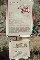 Rattlesnake Sign