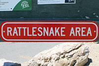 Rattlesnake Sign