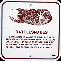 snake sign