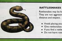 Rattlesnake Sign